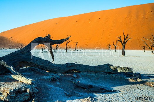 Bild på Ecotourism in Namib-Naukluft Park